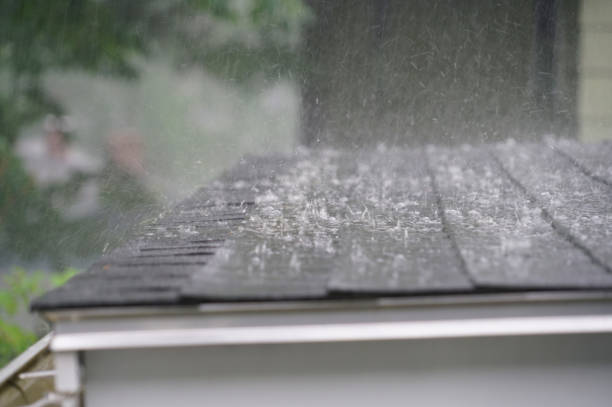 Best Metal Roofing Installation  in East Troy, WI