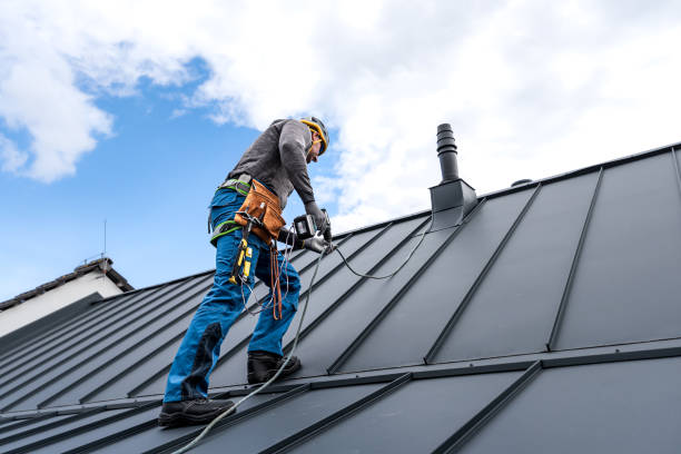 Best Sheet Metal Roofing  in East Troy, WI